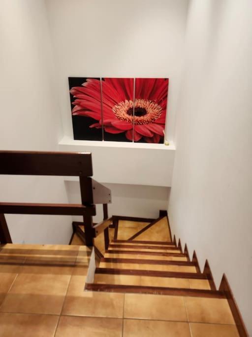 Duplex Rua Sol - Netflix Laxe Exterior foto
